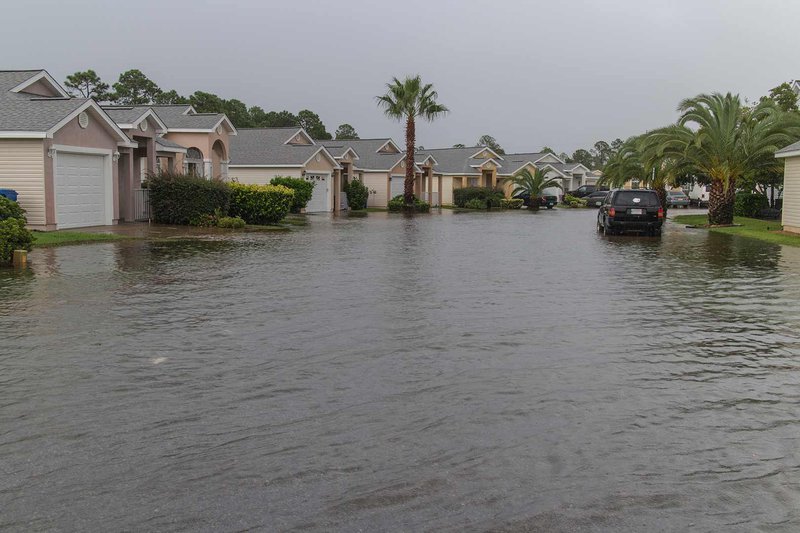 Hurricane Damage