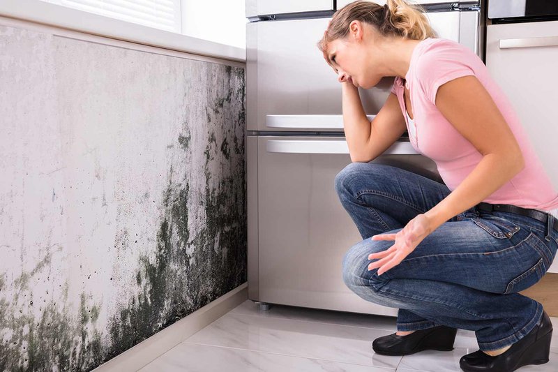 Homeowner Inspecting Mold Damage
